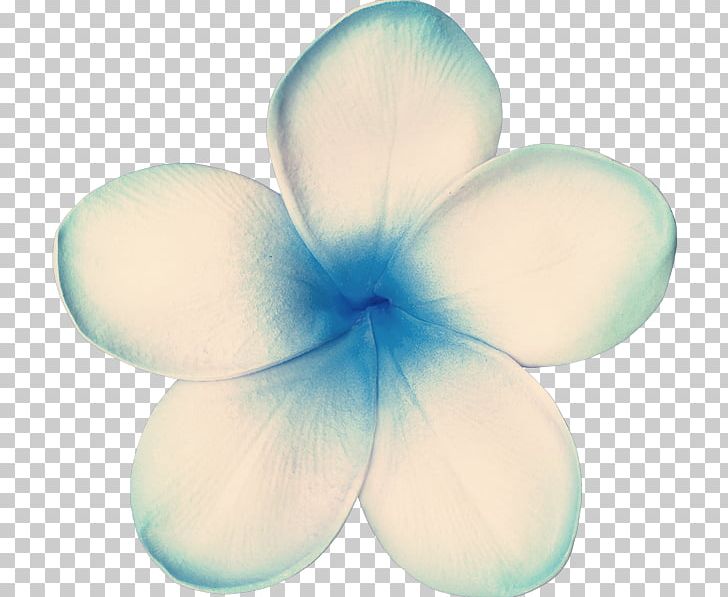 Petal Turquoise PNG, Clipart, Exotic, Exotic Flowers, Flower, Miscellaneous, Others Free PNG Download