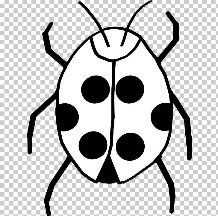 Ladybird Beetle Black And White PNG, Clipart, Animals, Artwork, Beetle, Black, Black And White Free PNG Download
