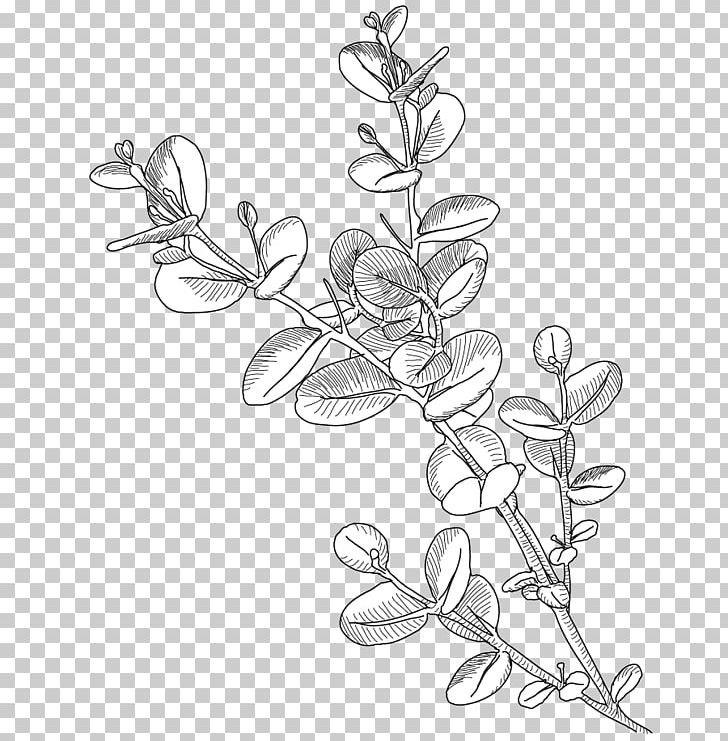 /m/02csf Drawing Leaf Line Art PNG, Clipart, Artwork, Black And White, Body Jewellery, Body Jewelry, Branch Free PNG Download