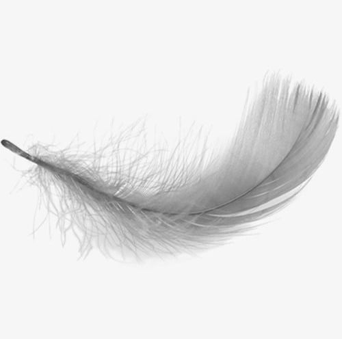 White Feathers Falling PNG, Clipart, Falling, Falling Clipart, Falling Feathers, Feather, Feathers Free PNG Download