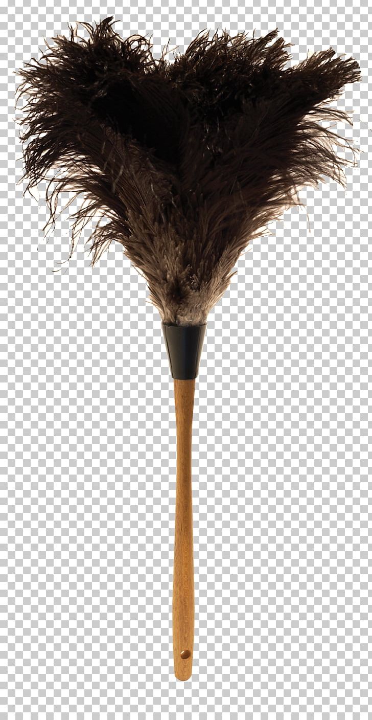 Feather Duster Common Ostrich Portable Network Graphics PNG, Clipart, Cleaning, Common Ostrich, Computer Icons, Dust, Feather Free PNG Download