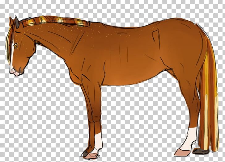 Foal Mane Stallion Rein Mustang PNG, Clipart, Bridle, Colt, Foal, Halter, Horse Free PNG Download
