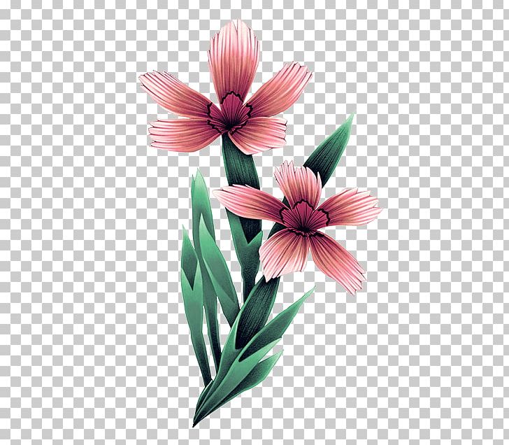 Petal Cut Flowers Magenta Flowering Plant PNG, Clipart, Cut Flowers, Festival Flower, Flower, Flowering Plant, Magenta Free PNG Download