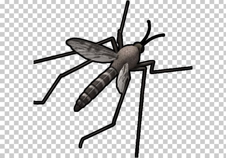 Anti-mosquito Sound Simulator Household Insect Repellents Anti Mosquito PNG, Clipart, Android, Anti Mosquito Prank A Joke, Antimosquito Sound Simulator, Apk, Aptoide Free PNG Download