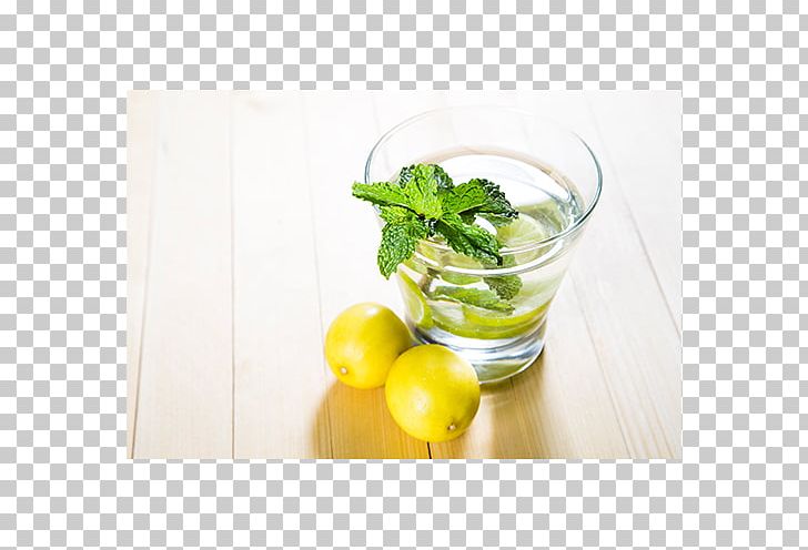 Mojito Lemonade Limeade Limonana PNG, Clipart, Cocktail, Drink, Food Drinks, Garnish, Health Shake Free PNG Download