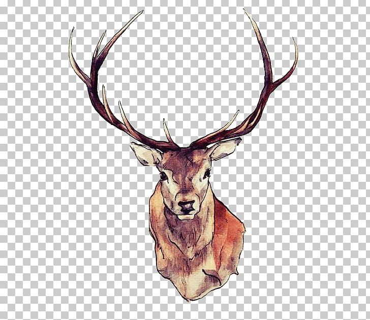 Reindeer Moose Elk Tattoo PNG, Clipart, Abziehtattoo, Animals, Antler, Deer, Deer Hunting Free PNG Download