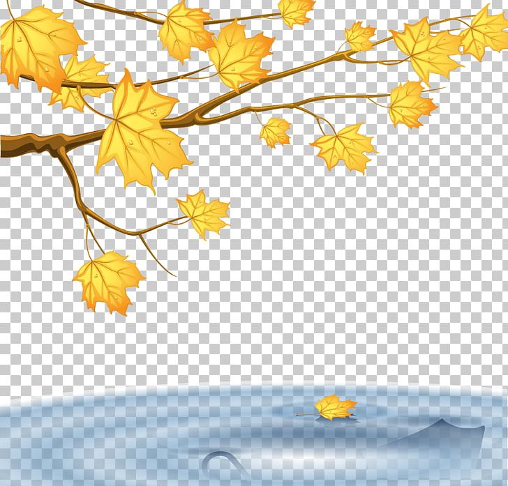 Eleven Minutes Like The Flowing River Author Publishing DC Books PNG, Clipart, Autumn, Autumn Background, Autumn Leaf, Autumn Leaves, Branch Free PNG Download