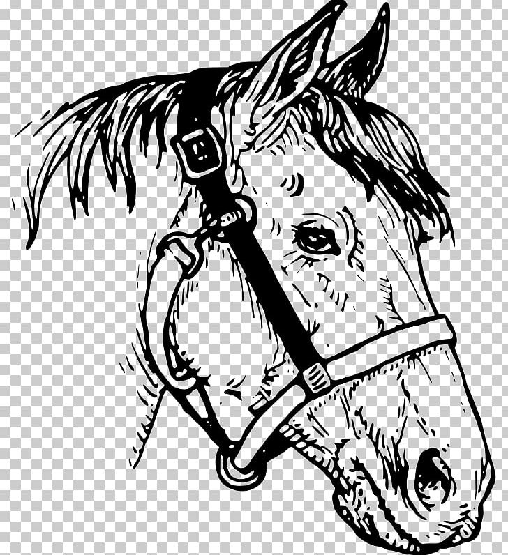 Horse Drawing PNG, Clipart, Animals, Art, Black, Black And White, Bridle Free PNG Download