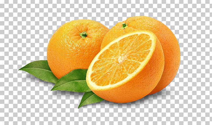 Mandarin Orange Tangerine Bitter Orange Lemon PNG, Clipart, Citric Acid, Citrus, Citrus Junos, Clementine, Food Free PNG Download