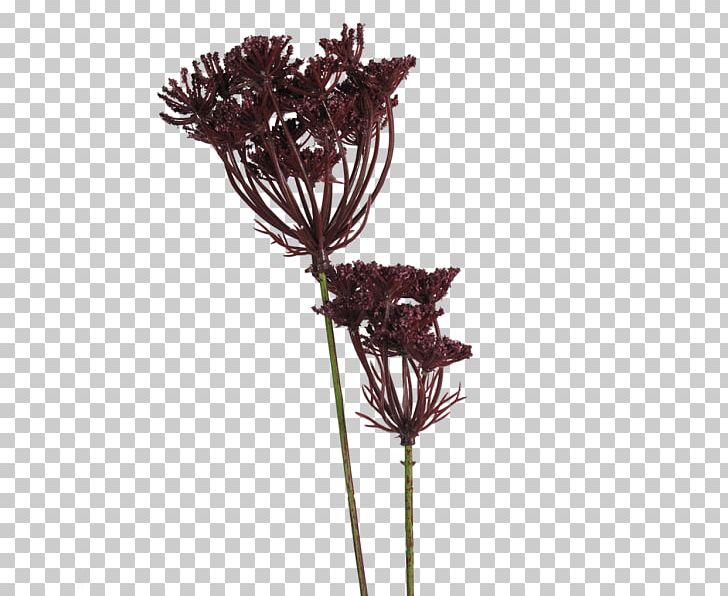 Twig Cut Flowers Artificial Flower Plant Stem PNG, Clipart, Apiaceae, Artificial Flower, Branch, Chervil, Cicely Free PNG Download