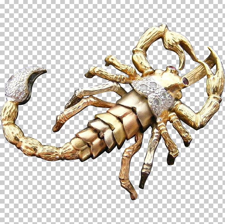 Scorpion Charms & Pendants Jewellery Gold Sapphire PNG, Clipart, Animal Source Foods, Arizona Bark Scorpion, Arthropod, Charms Pendants, Claw Free PNG Download