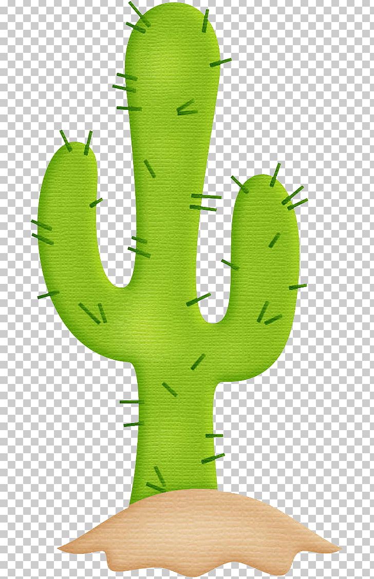 Cactaceae Mexico Paper PNG, Clipart, Cactus, Cactus Cartoon, Cactus Vector, Cartoon, Cartoon Cactus Free PNG Download