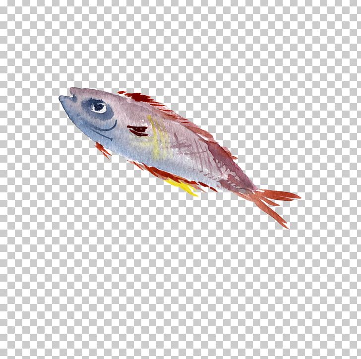 Fish Painting Drawing PNG, Clipart, Animals, Decorate, Download, Euclidean Vector, Fin Free PNG Download