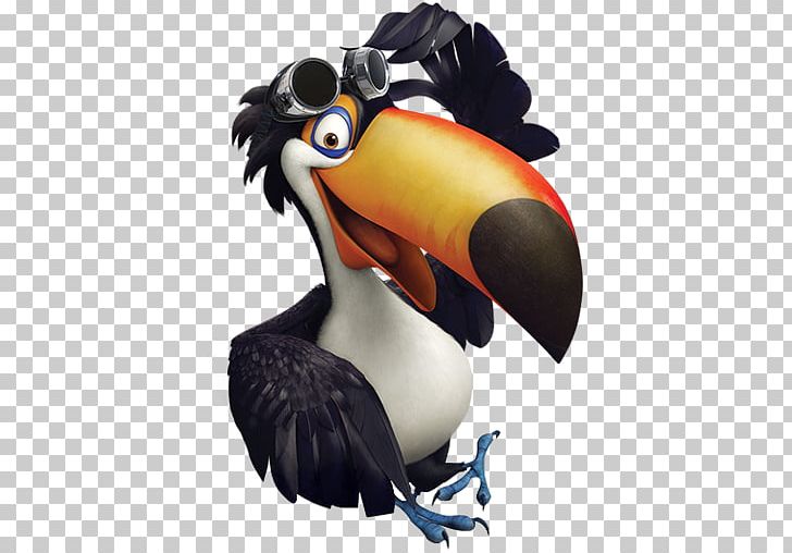 Hornbill Piciformes Toucan Bird Beak PNG, Clipart, Actor, Adventure Film, Animation, Beak, Bird Free PNG Download