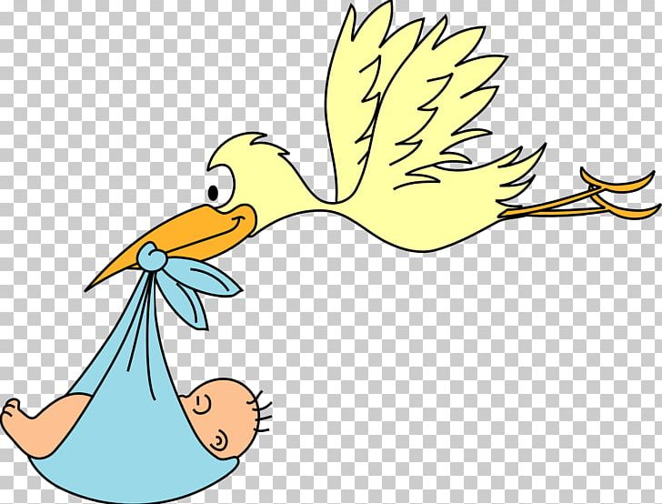Infant White Stork PNG, Clipart, Area, Art, Artwork, Baby Announcement, Beak Free PNG Download