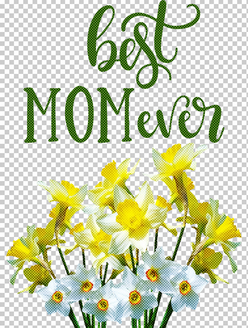 Mothers Day Best Mom Ever Mothers Day Quote PNG, Clipart, Amaryllidaceae, Amaryllis, Best Mom Ever, Bulb, Bunchflowered Daffodil Free PNG Download