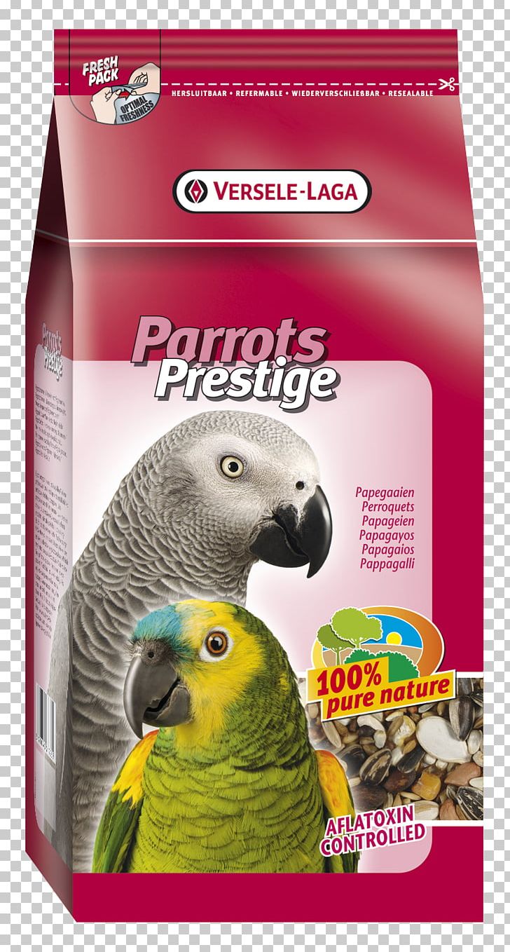 Amazon Parrot Budgerigar Cockatiel Bird PNG, Clipart, Alexandrine Parakeet, Amazon Parrot, Animals, Beak, Bird Free PNG Download