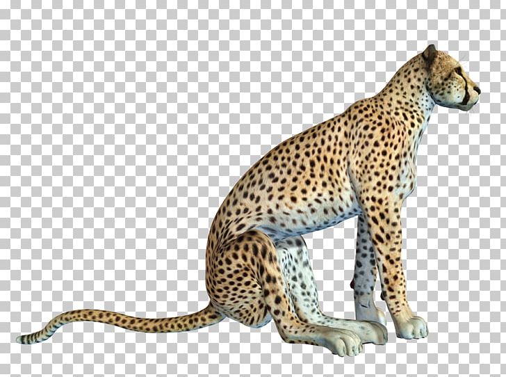 Cheetah African Leopard Cat PNG, Clipart, African, Animal, Animals, Big Cat, Big Cats Free PNG Download