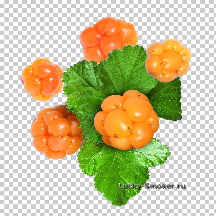 Cloudberry Red Raspberry Blackcurrant PNG, Clipart, Blackcurrant, Currant, Food, Fruit, Garnish Free PNG Download
