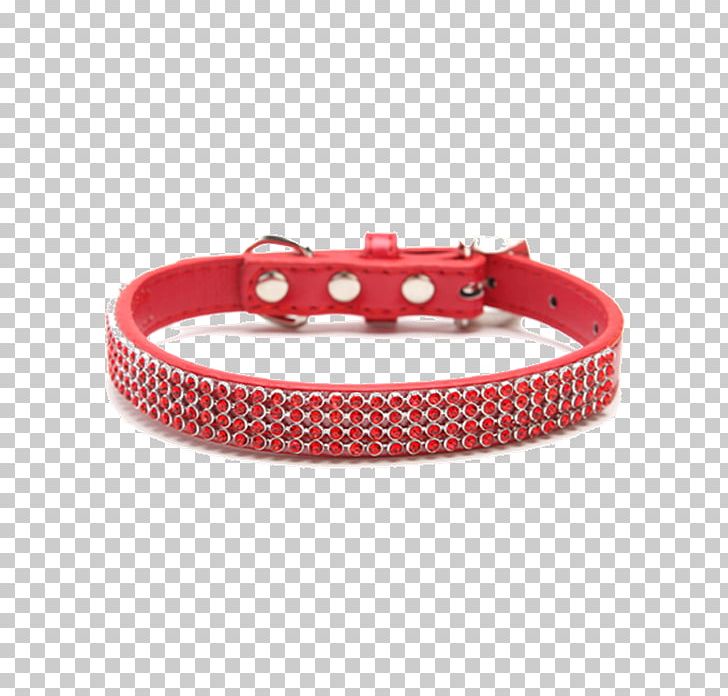 Dog Collar Cat Food PNG, Clipart, Animals, Blingbling, Cat, Cat Food, Collar Free PNG Download