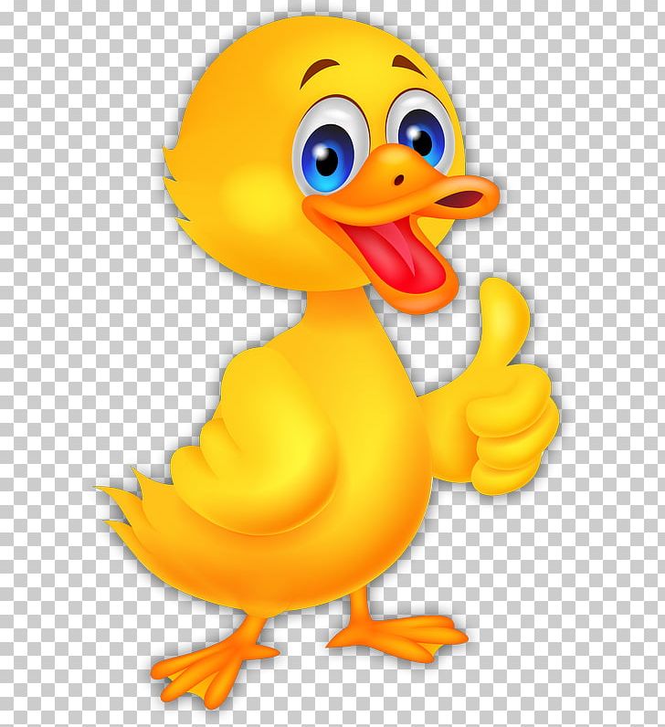 Donald Duck American Pekin Cartoon PNG, Clipart, American Pekin, Beak, Bird, Can Stock Photo, Canvas Free PNG Download
