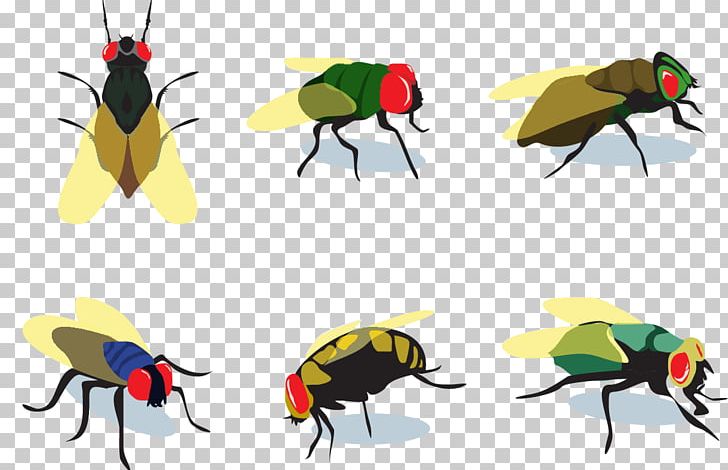 Fly Insect Euclidean PNG, Clipart, Animals, Arthropod, Butter Flies, Disease, Download Free PNG Download
