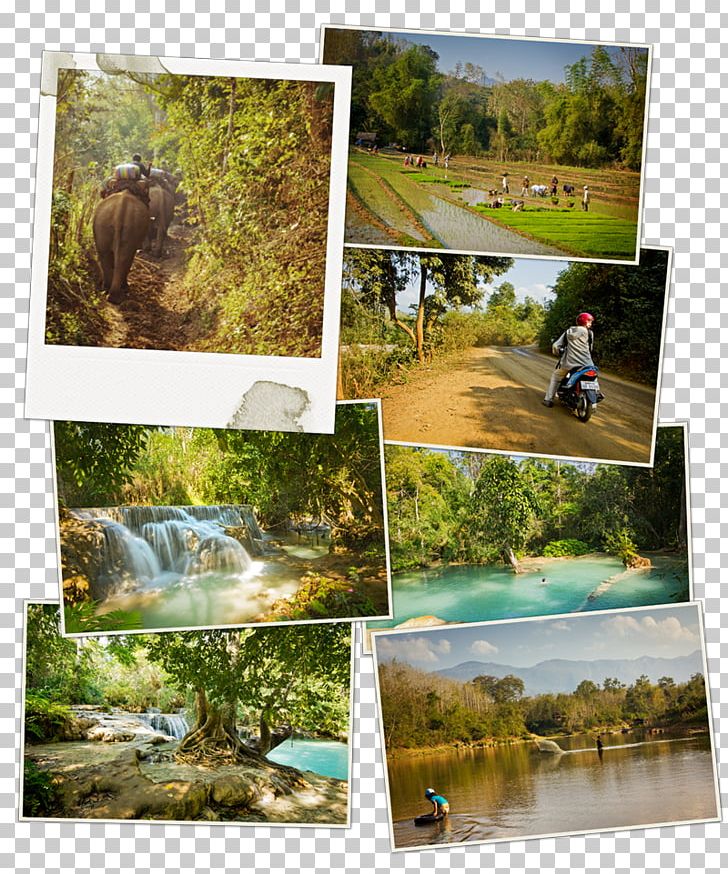 Luang Prabang District Luang Namtha Travel Photography PNG, Clipart, Bicycle, Collage, Ecosystem, Grass, Landscape Free PNG Download