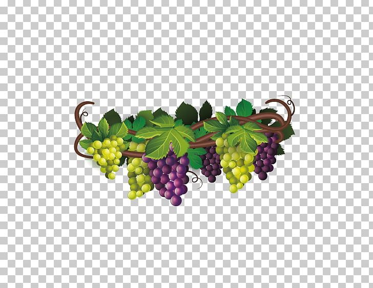 Wine Common Grape Vine The Fox And The Grapes Euclidean PNG, Clipart, Blackberry, Delicious Vector, Download, Flowering Plant, Food Free PNG Download
