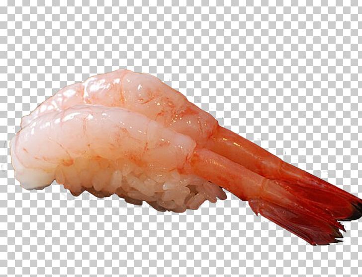 Caridea Sushi Sashimi Shrimp PNG, Clipart, Animal Source Foods, Baking, Cari, Caridean Shrimp, Cartoon Shrimp Free PNG Download