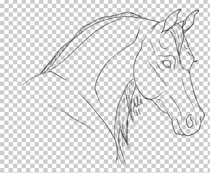 Mane Coloring Book Mustang Pony Drawing PNG, Clipart, Artwork, Black And White, Coloring Book, Doodle, Drawing Free PNG Download
