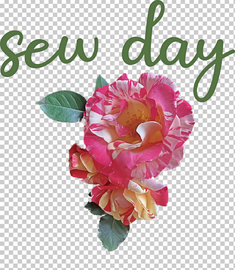 Sew Day PNG, Clipart, Cabbage Rose, Cut Flowers, Floral Design, Floribunda, Flower Free PNG Download