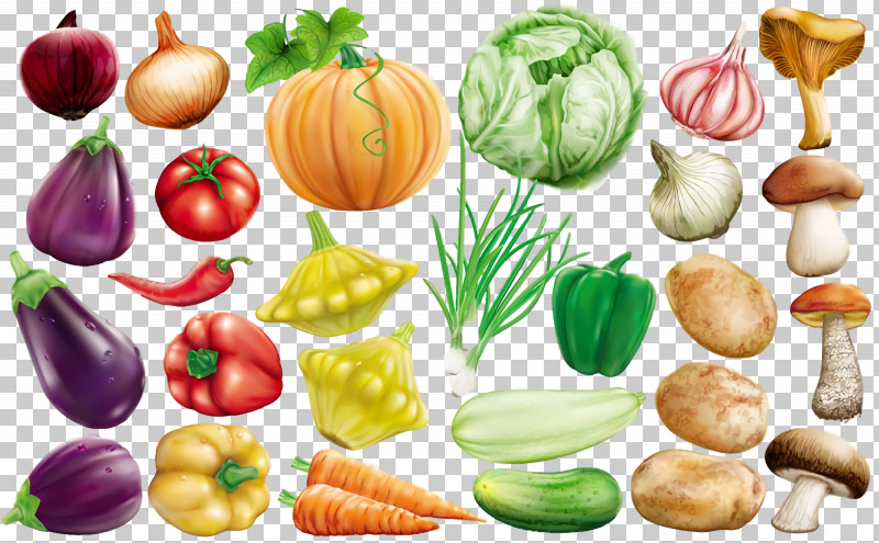Thanksgiving Autumn Harvest PNG, Clipart, Autumn, Commodity, Food Group, Fruit, Harvest Free PNG Download