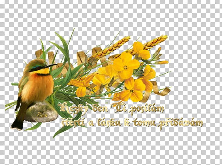 Flower Bouquet AGEP Blog PNG, Clipart, Bird, Birthday, Blog, Flora, Floral Design Free PNG Download