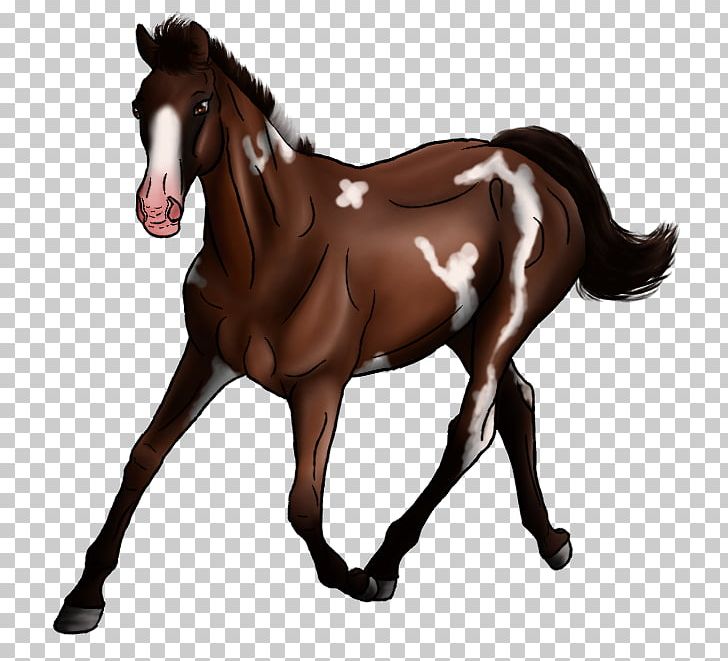 Foal Stallion Mustang Mare Colt PNG, Clipart, Bridle, Colt, Dog Harness, Foal, Halter Free PNG Download