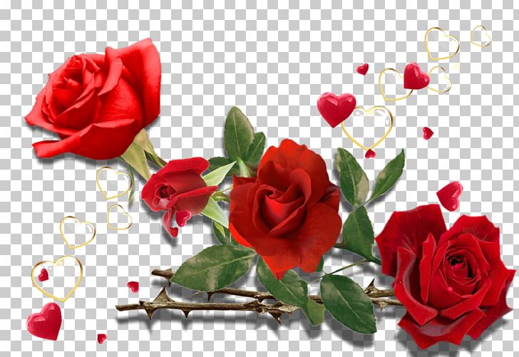 Garden Roses Cabbage Rose Flower Bouquet Floral Design PNG, Clipart,  Free PNG Download