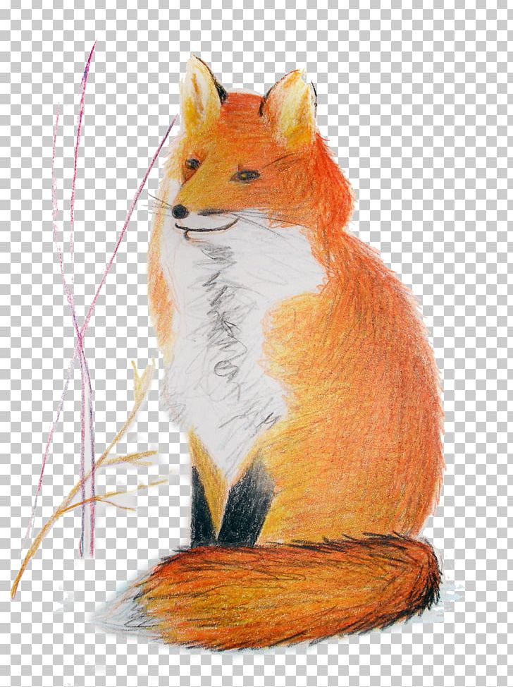 Red Fox Mouse Whiskers Fox News PNG, Clipart, Carnivoran, Dog Like Mammal, Fauna, Fox, Fox News Free PNG Download