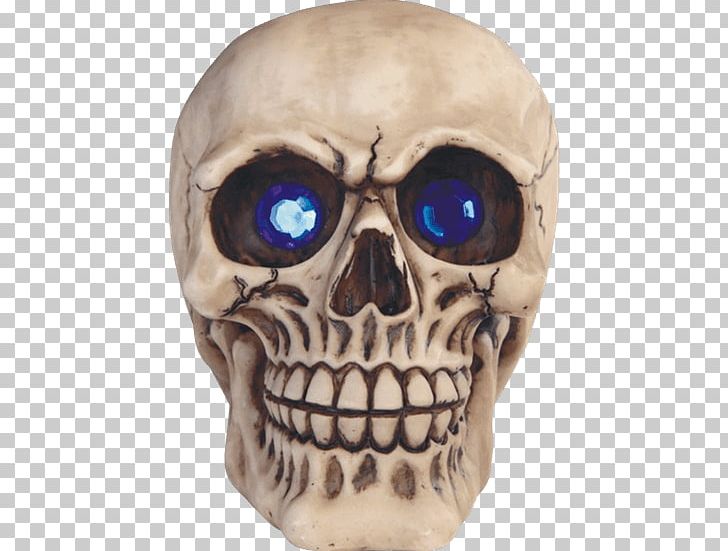 Skull Skeleton Sculpture Statue Human Head PNG, Clipart, Beret, Blue Skull, Bone, Bonnet, Collectable Free PNG Download