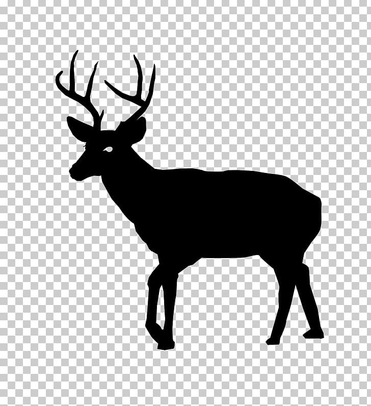 White-tailed Deer Deer Hunting PNG, Clipart, Animals, Antler, Black And White, Computer Icons, Deer Free PNG Download