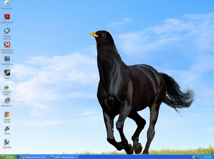 Arabian Horse Friesian Horse Pony Stallion Black PNG, Clipart, Animal, Animals, Arabian Horse, Bay, Beak Free PNG Download