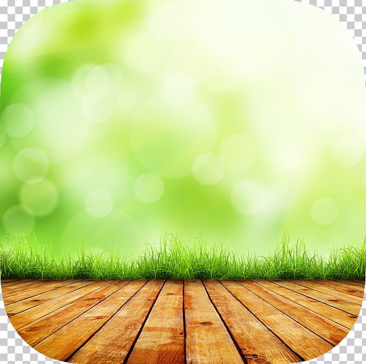 Desktop Stock Photography Nature PNG, Clipart, Computer Wallpaper, Depositphotos, Desktop Wallpaper, Field, Grass Free PNG Download