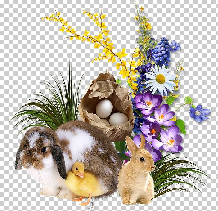 Easter Bunny Resurrection Of Jesus Holiday PNG, Clipart, Chomikuj, Chomikujpl, Christianity, Christmas Card, Domestic Rabbit Free PNG Download