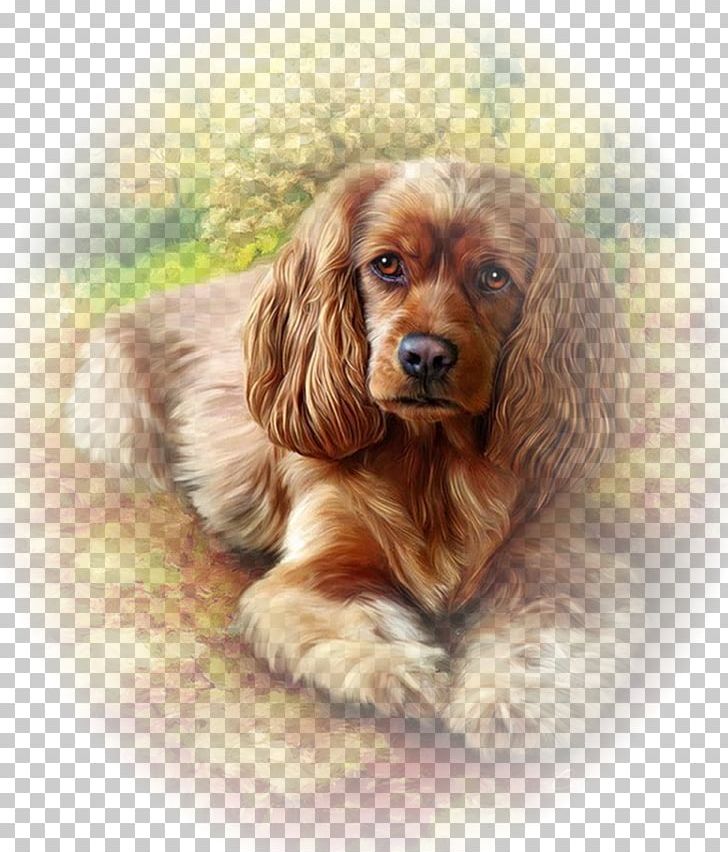 English Cocker Spaniel Paint By Number Painting Drawing Cavalier King Charles Spaniel PNG, Clipart, Art, Canvas, Carnivoran, Cavalier King Charles Spaniel, Chien Free PNG Download