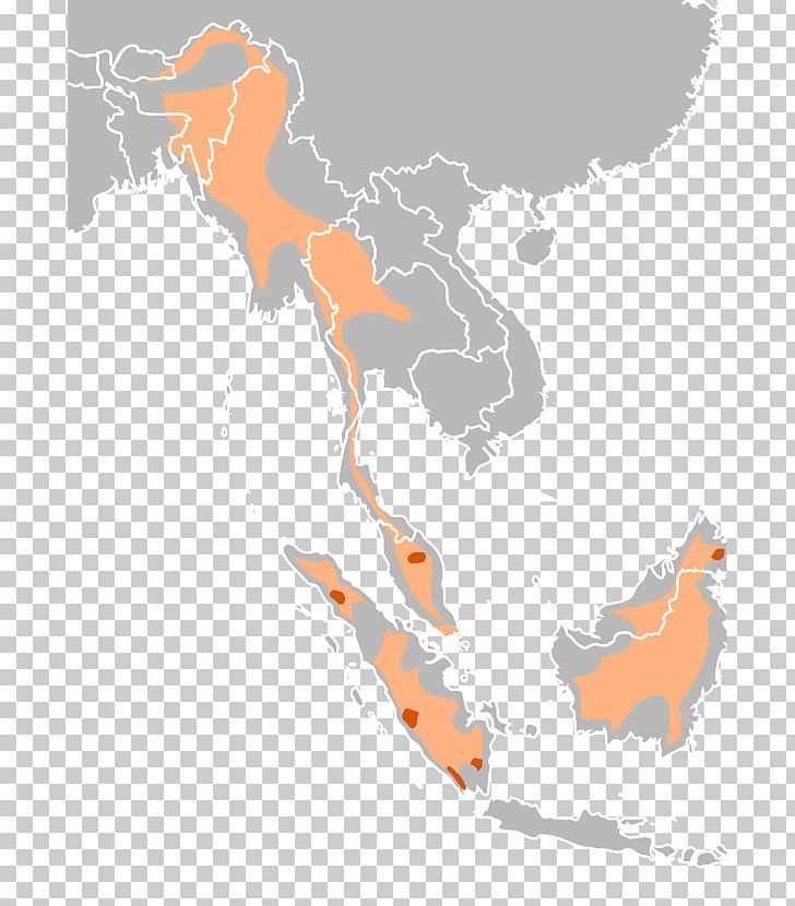 Burma Vietnam Salix Columbiana Philippines Organization PNG, Clipart, Area, Asia, Burma, Business, Ecoregion Free PNG Download