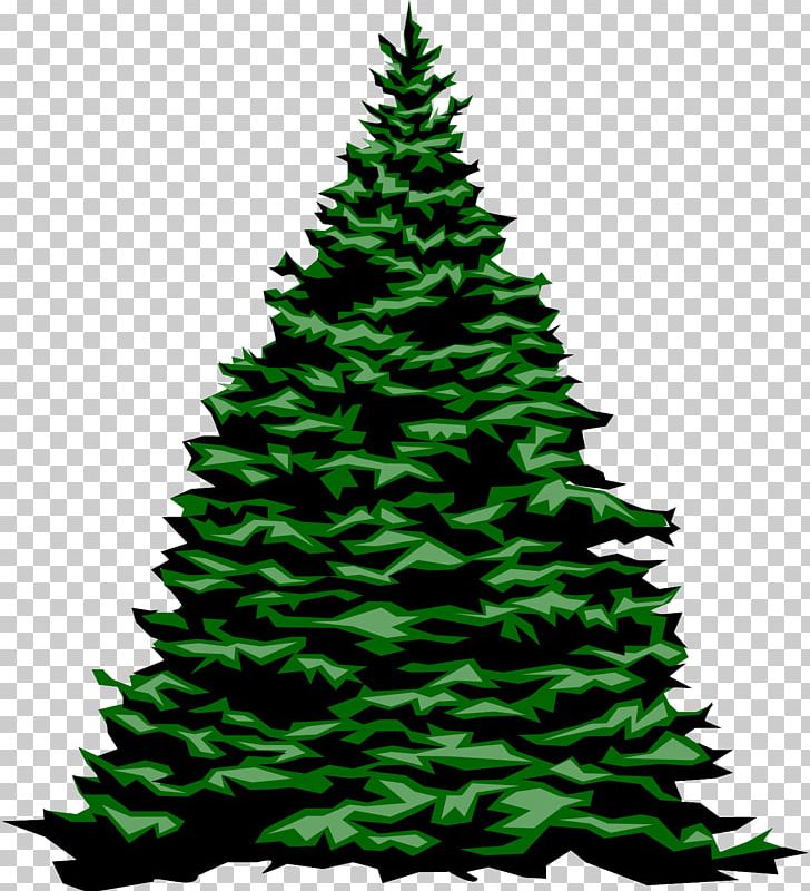 Christmas Tree Fir Evergreen PNG, Clipart, Christmas, Christmas Decoration, Christmas Ornament, Christmas Tree, Conifer Free PNG Download