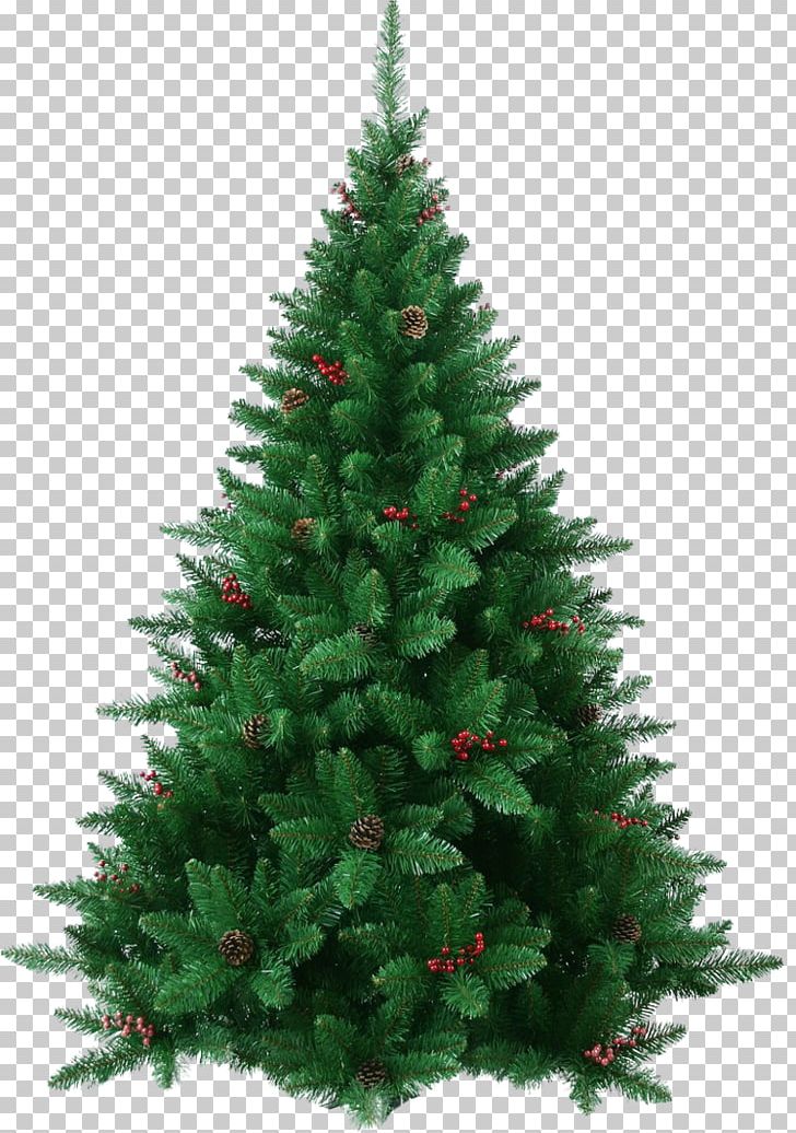 Fraser Fir Artificial Christmas Tree PNG, Clipart, Artificial Christmas Tree, Biome, Christmas, Christmas Decoration, Christmas Ornament Free PNG Download