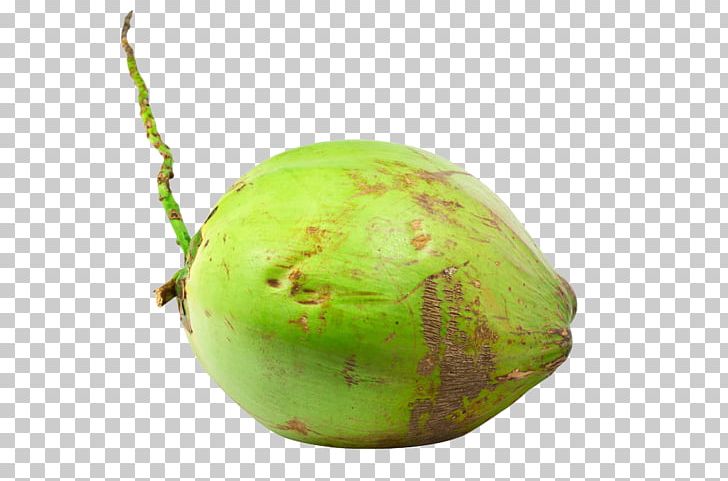 Fruit Coconut Water Coconut Milk Nata De Coco PNG, Clipart, Auglis, Background Green, Carambola, Coconut, Coconut Pulp Free PNG Download