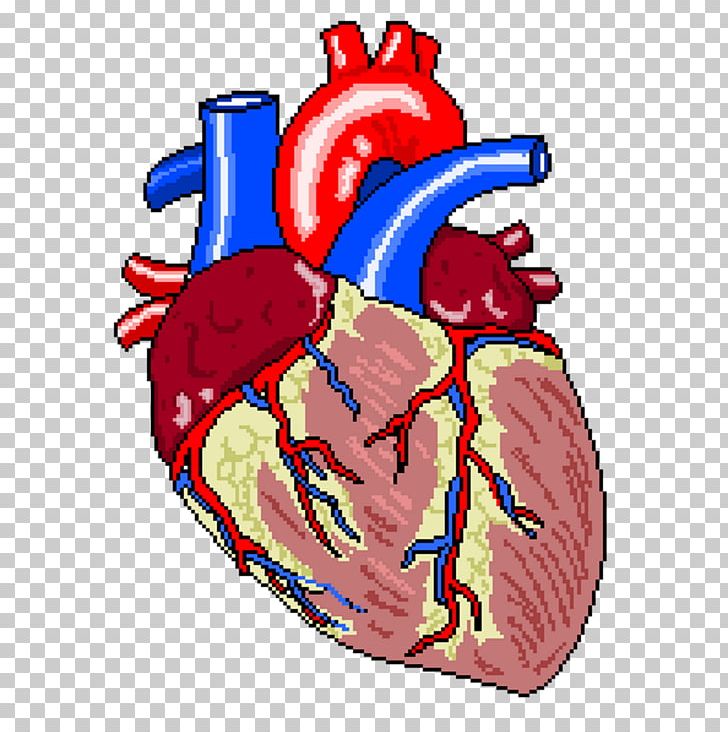 Heart Failure Coronary Artery Bypass Surgery Vascular Bypass Cardiology PNG, Clipart, Cardiology, Cardiovascular Disease, Coronary Arteries, Coronary Artery Bypass Surgery, Coronary Artery Disease Free PNG Download