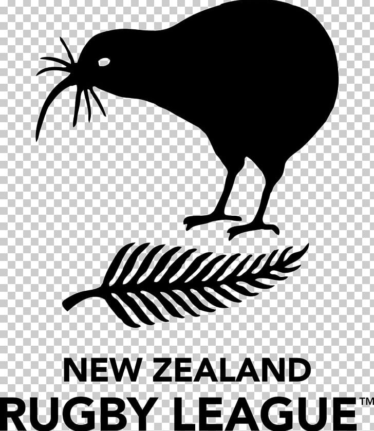 New Zealand National Rugby League Team Rugby League Four Nations 2013 Rugby League World Cup PNG, Clipart, 2013 Rugby League World Cup, Artwork, Beak, Bird, Fauna Free PNG Download