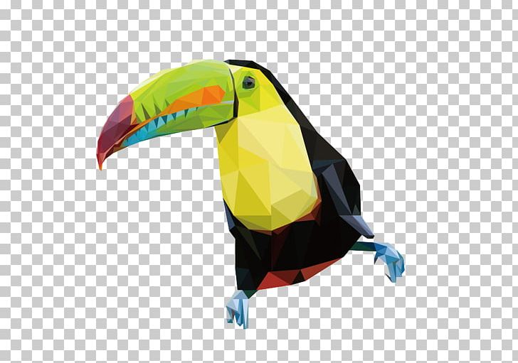 Parrot Bird Toucan PNG, Clipart, Animals, Beak, Bird, Birds, Designer Free PNG Download