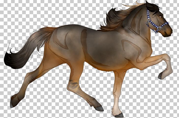 American Quarter Horse Friesian Horse Stallion Gypsy Horse Shire Horse PNG, Clipart, Ame, Animal Figure, Arabian Horse, Black, Breyer Animal Creations Free PNG Download